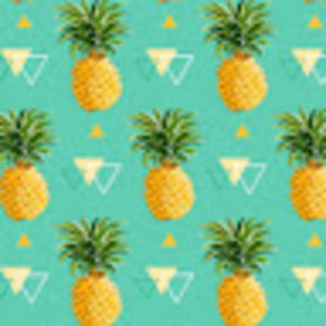 Meet your Posher, Kitkatproto